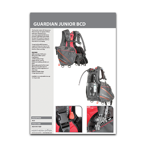 Junior BCD Datasheet  